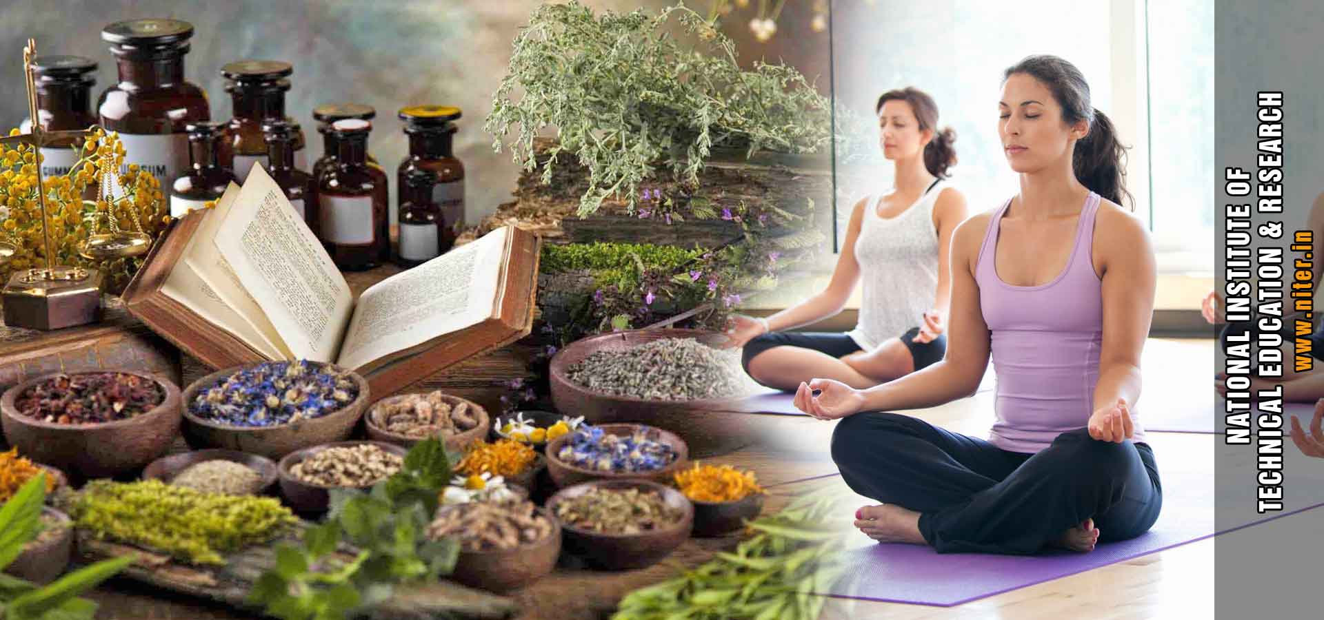 Yoga & Naturopathy Courses in India punjab ludhiana