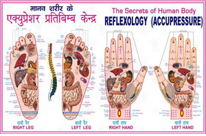 Doctorate of Medicine [MD] (Acupuncture)