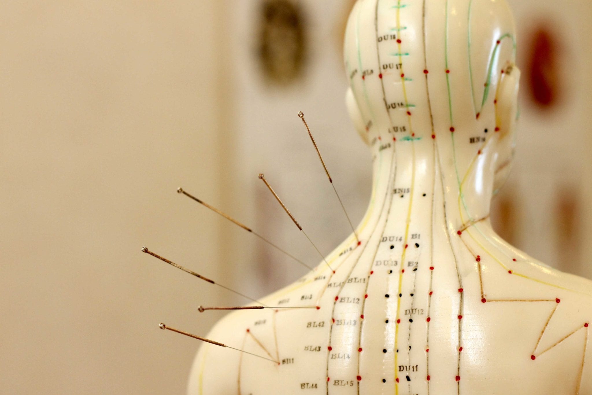 Acupuncture Courses